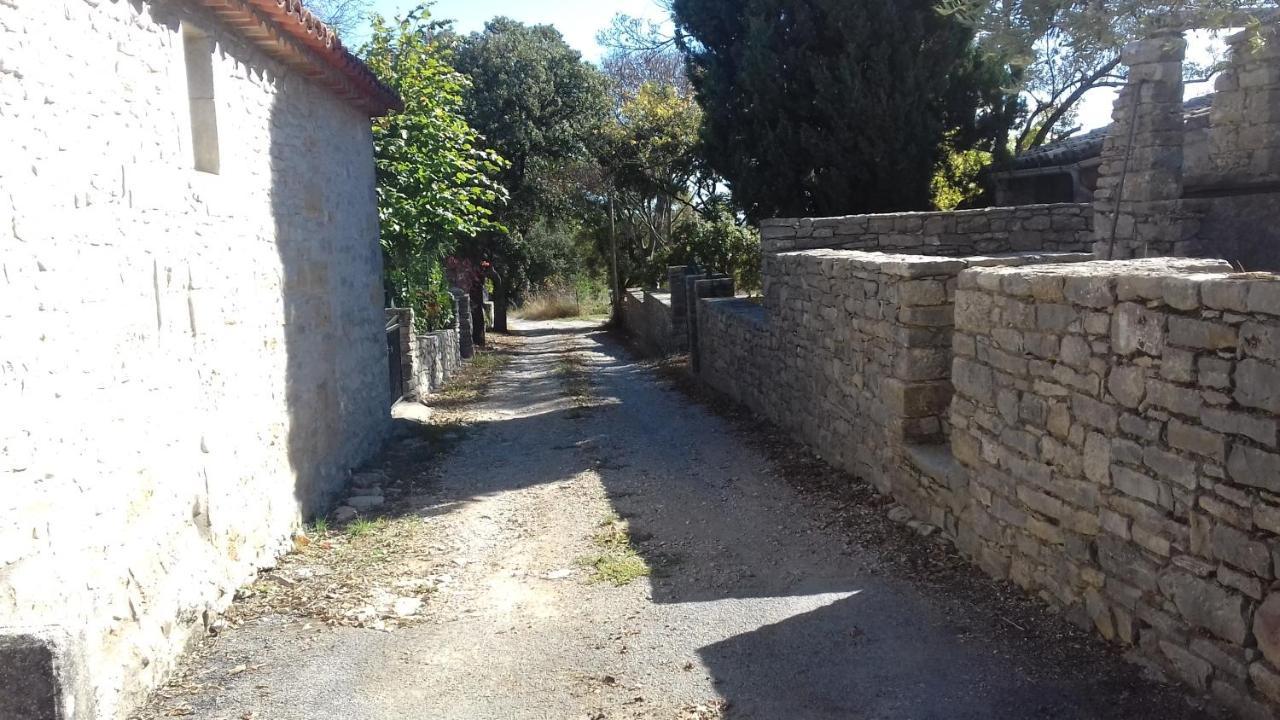 Un Nid Entre Vignes Et Pierres "Pic St Loup" Bed & Breakfast Claret Luaran gambar